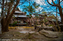 2016/01/10 某家の日本庭園①
