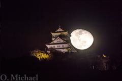 月と岐阜城④