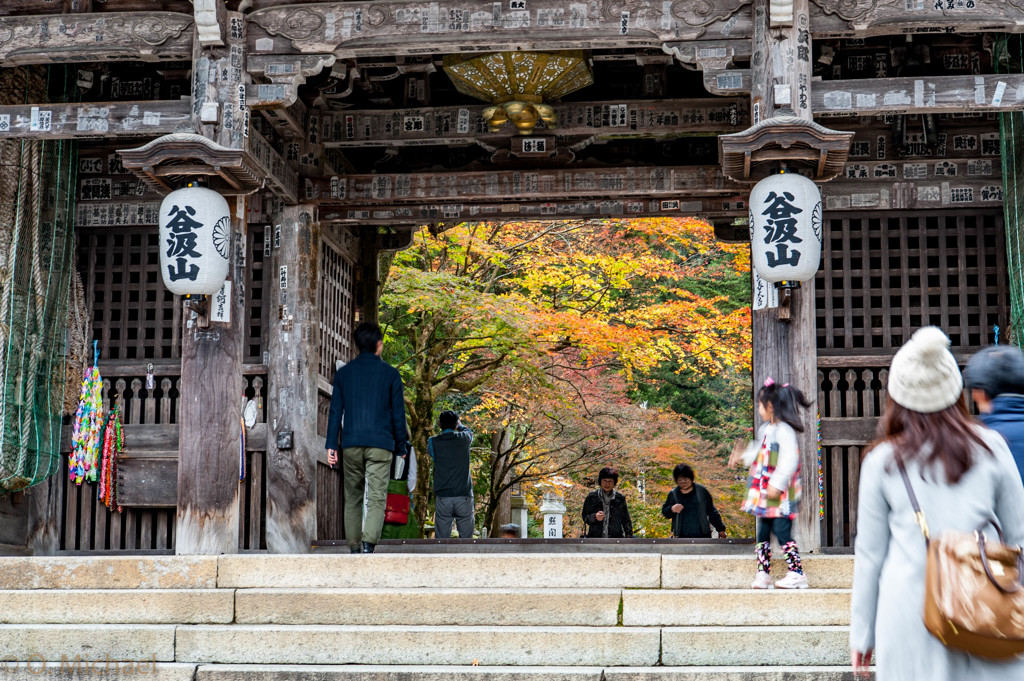 2015/11/22 谷汲山華厳寺 ①