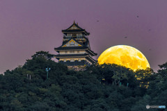 中秋の名月と岐阜城⑤