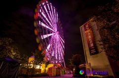 2015/09/12　Ferris wheel at night　①