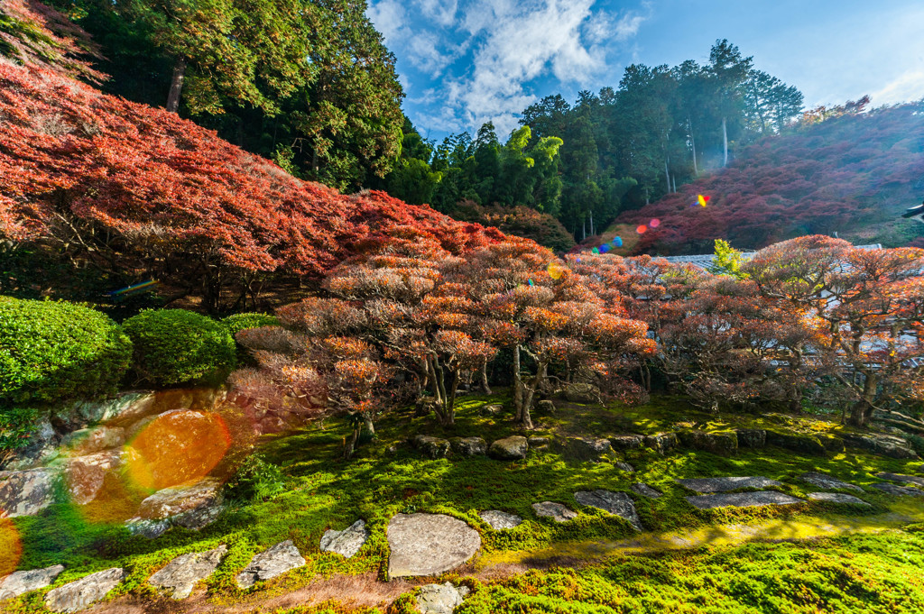 2015/11/24 大龍寺 ①