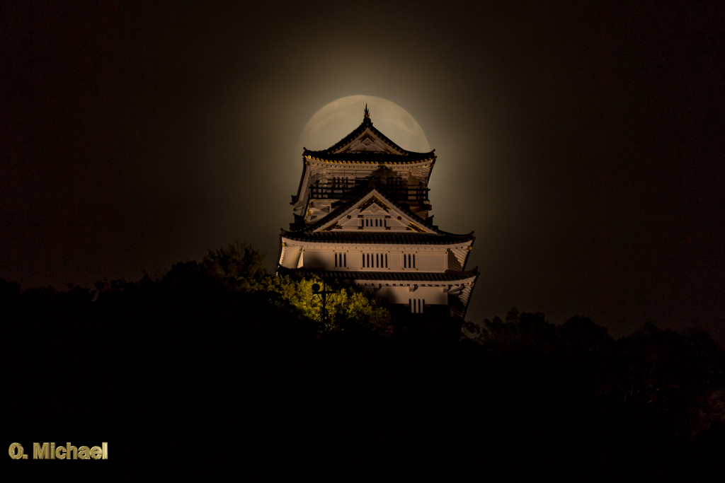 中秋の名月と城③