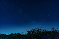 その夜の空