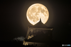 月を追いかける④