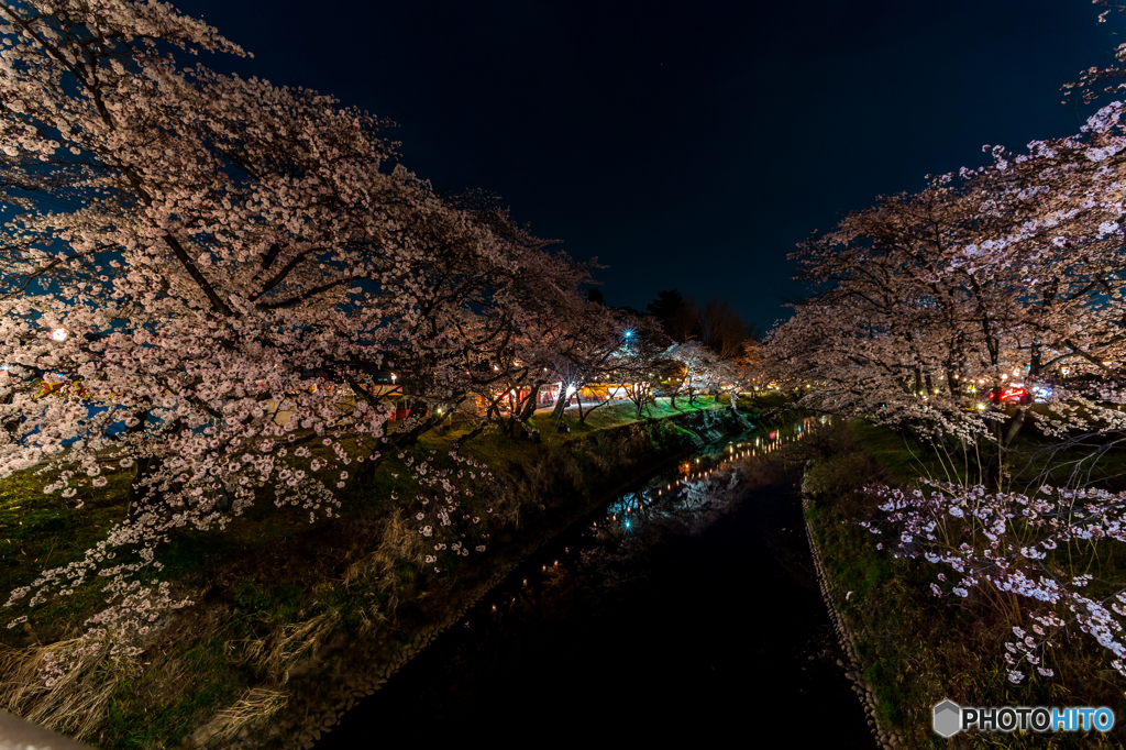 お花見