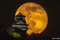 １６夜の月と岐阜城