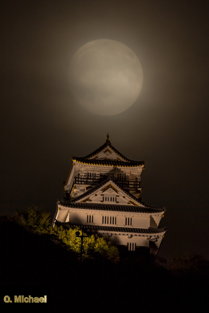 中秋の名月と城④
