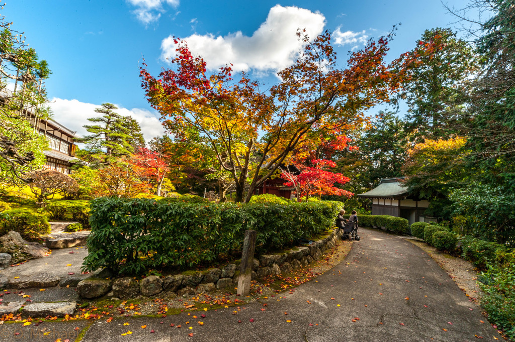 2015/11/24 延算寺 ②