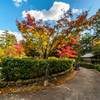 2015/11/24 延算寺 ②