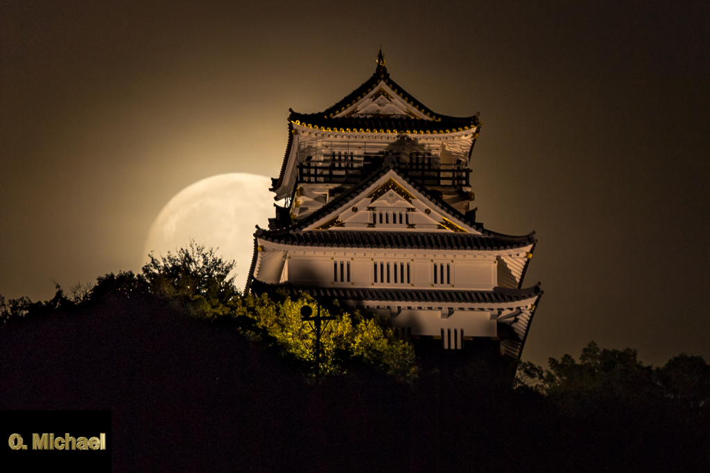 中秋の名月と城②