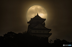 十六夜の月と岐阜城④
