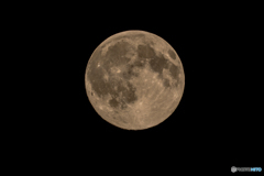 昨夜の月