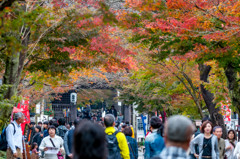 2015/11/22 谷汲山華厳寺 ②