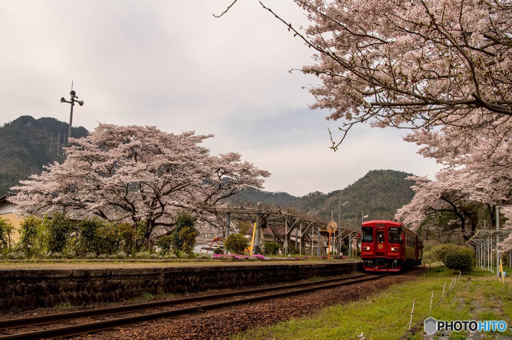 花咲く駅舎⑨