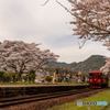 花咲く駅舎⑨