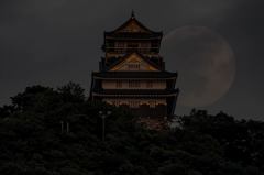 １３夜の月と岐阜城