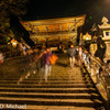 2016/01/01 初詣は稲葉神社①