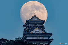月を待ち伏せ③