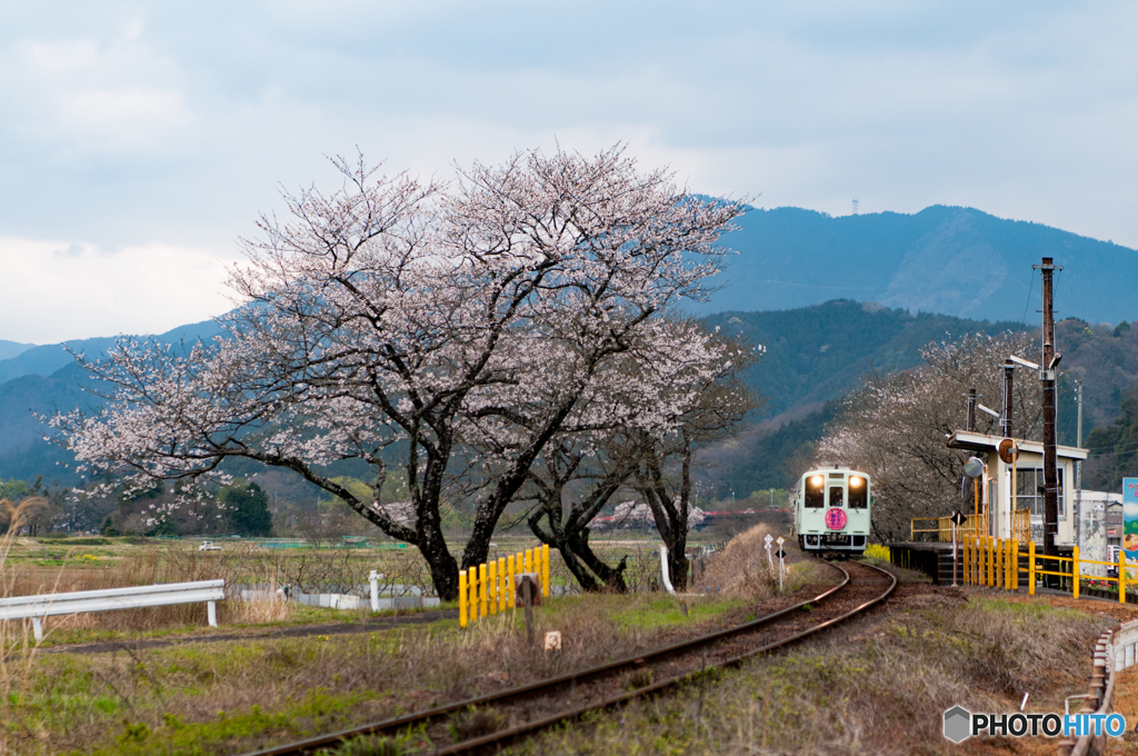 花咲く駅舎