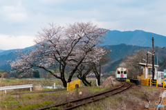 花咲く駅舎