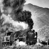 44年ぶりのD51