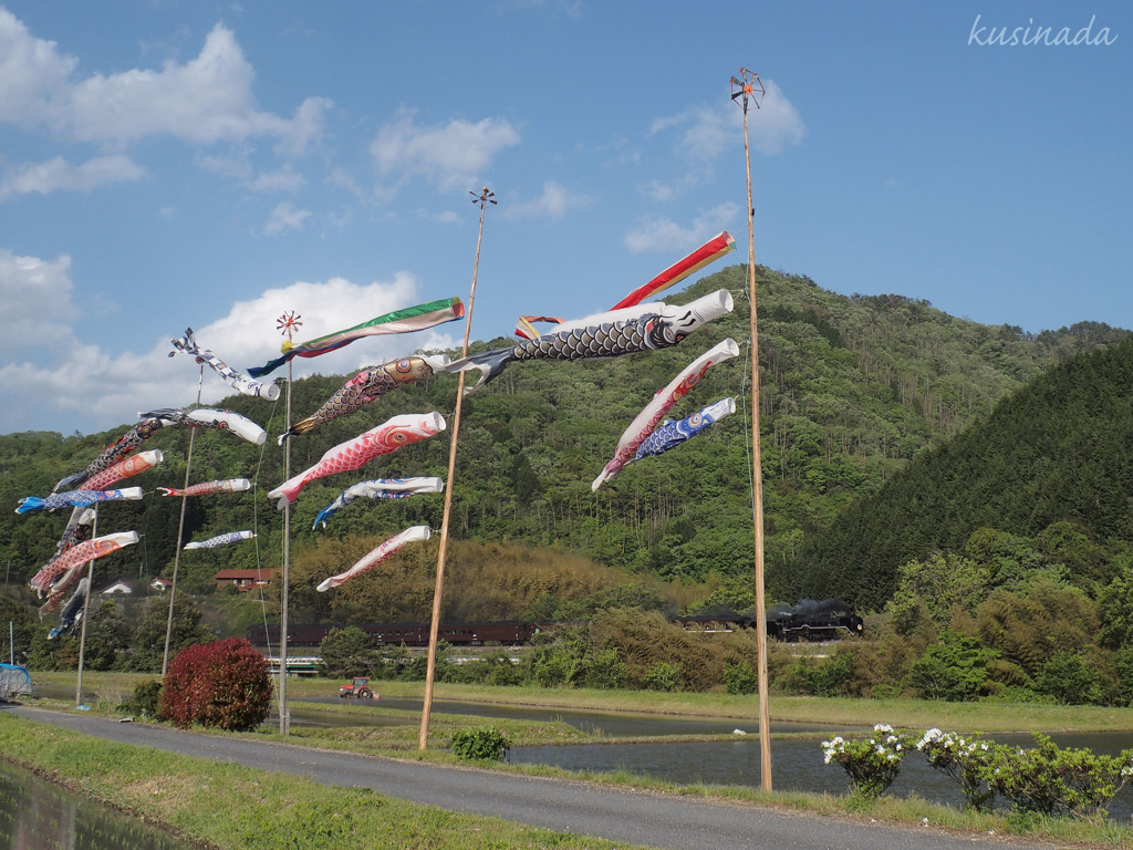 5月の風