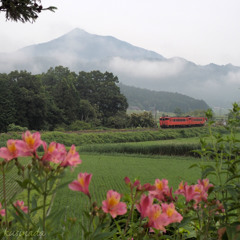 6月のある朝