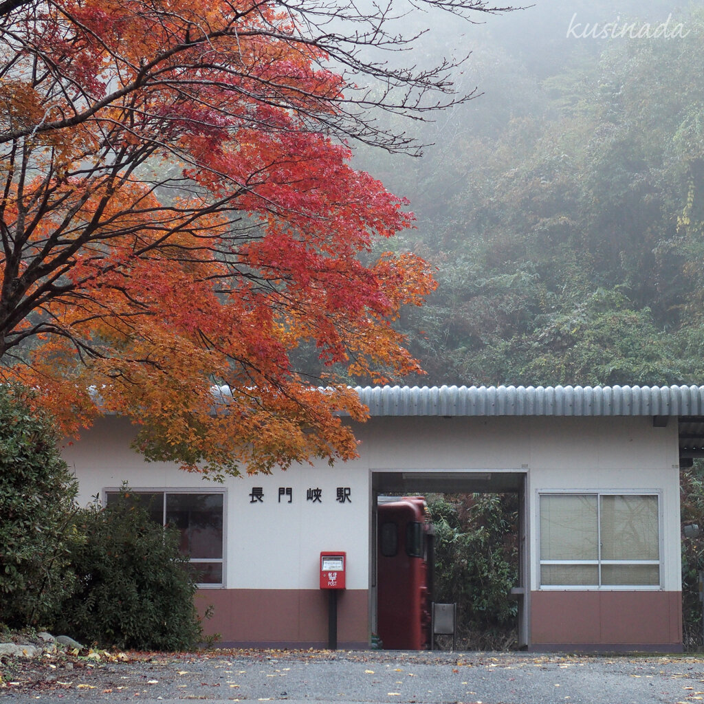 紅葉の駅