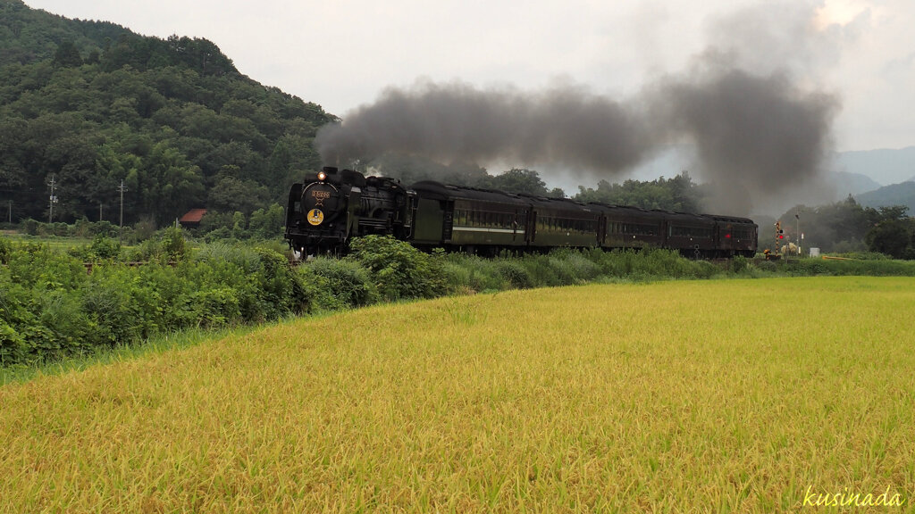 晩夏乃煙