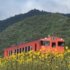 ひまわり列車