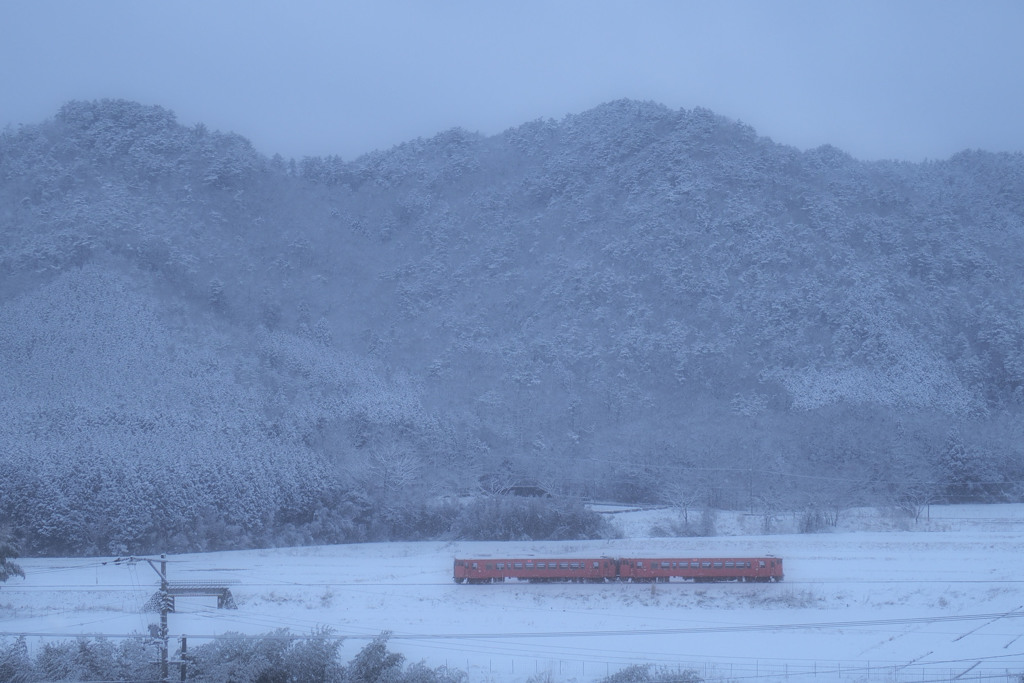 雪化粧再び