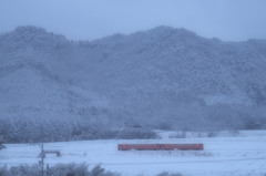 雪化粧再び