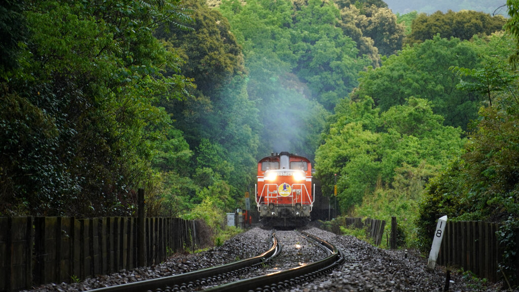 雨のDLやまぐち号