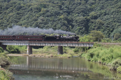 川面に映る