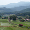 田園のタラコ