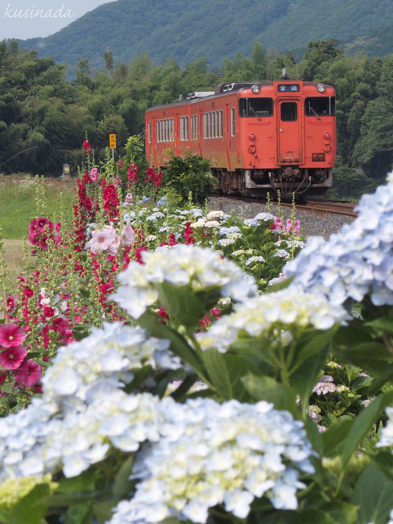 六月乃山口線