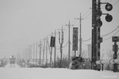 電柱の列〜雪の中