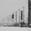 電柱の列〜雪の中