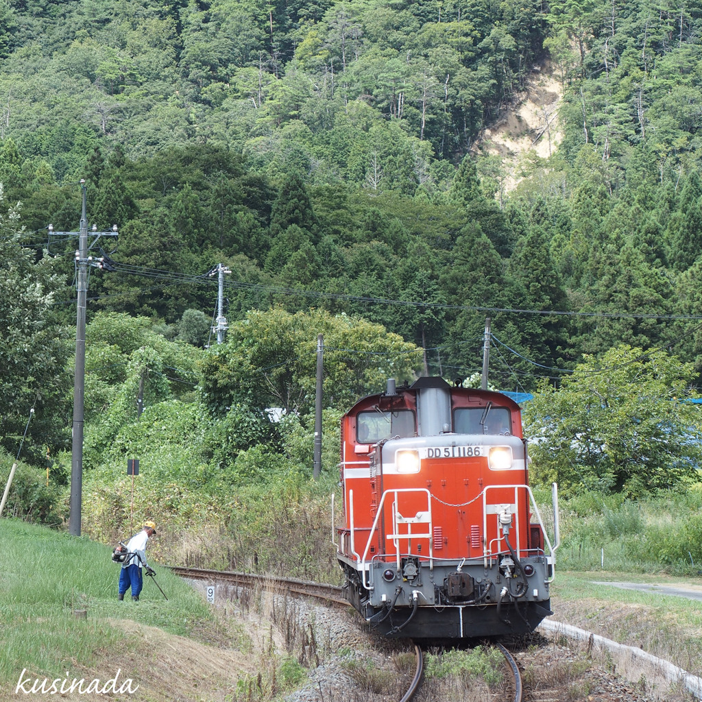 クサカリトDD51