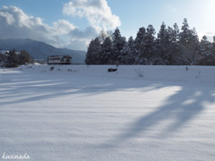 雪に伸びる影