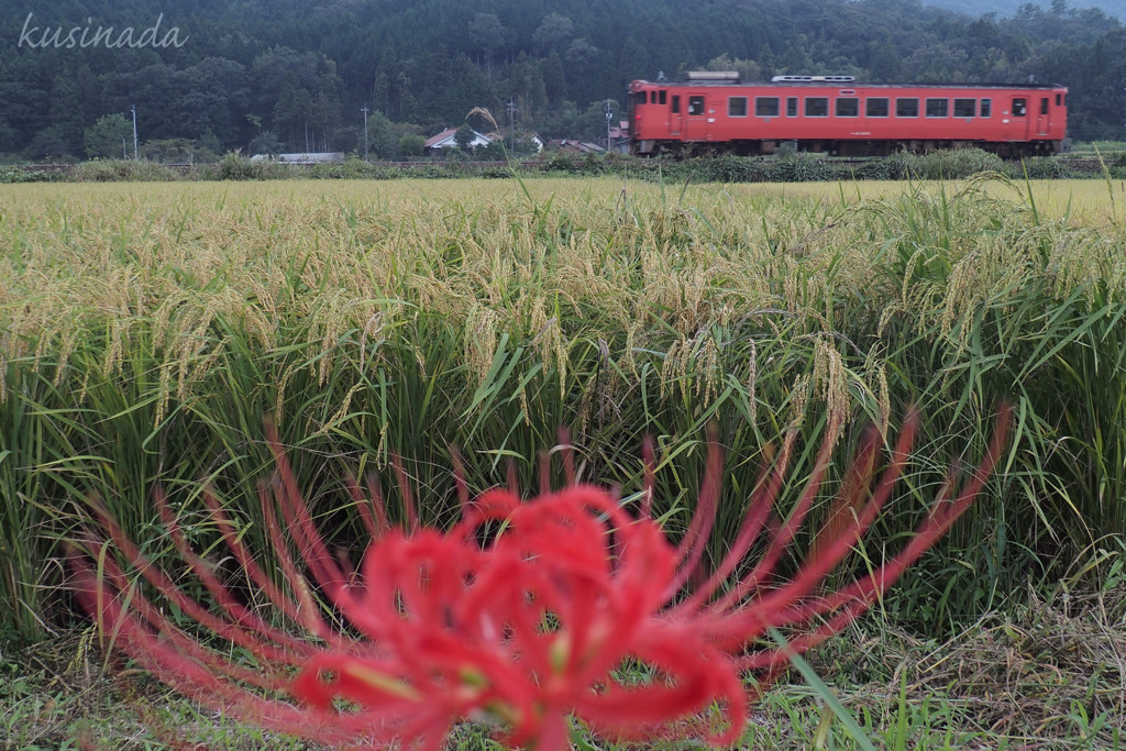 秋色乃山口線