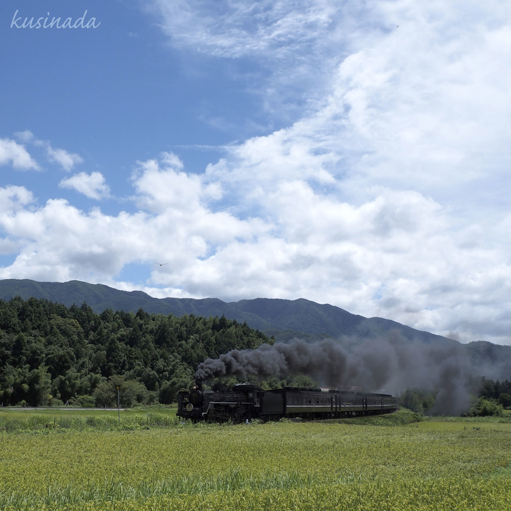 八月の空の下