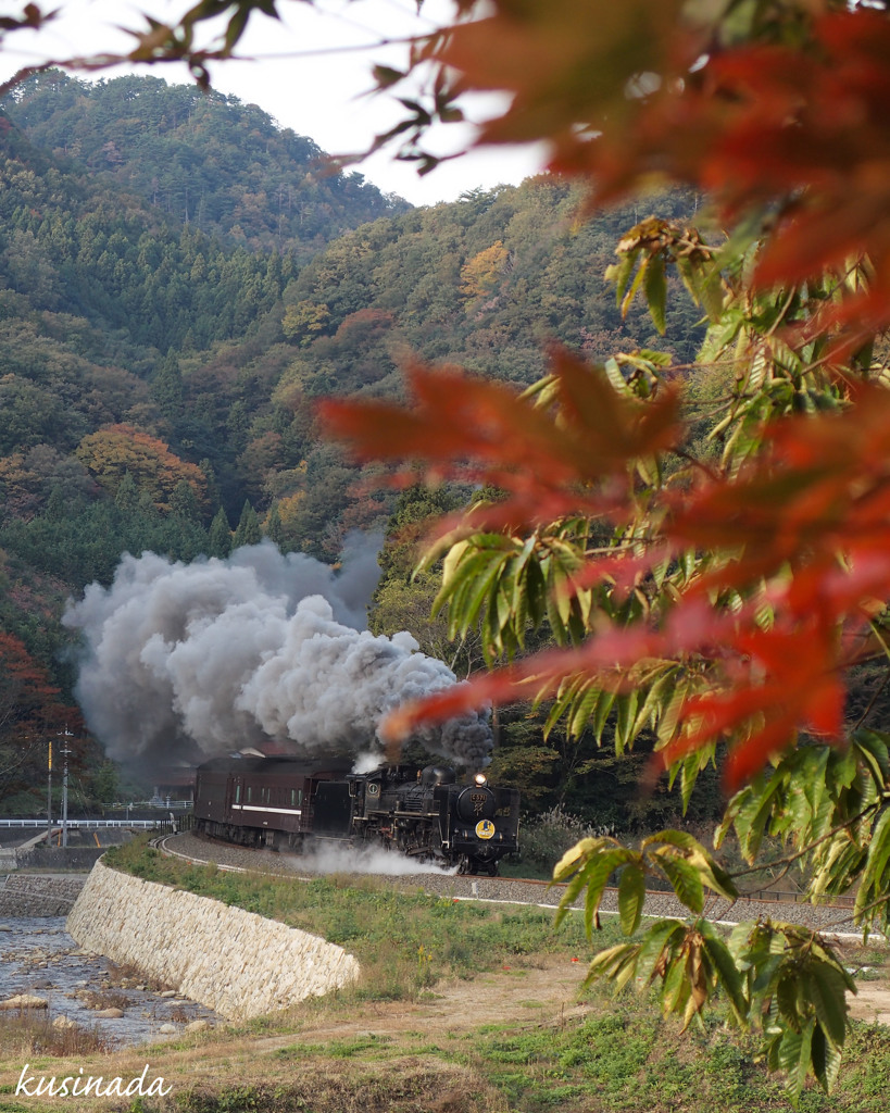 色付く山の下