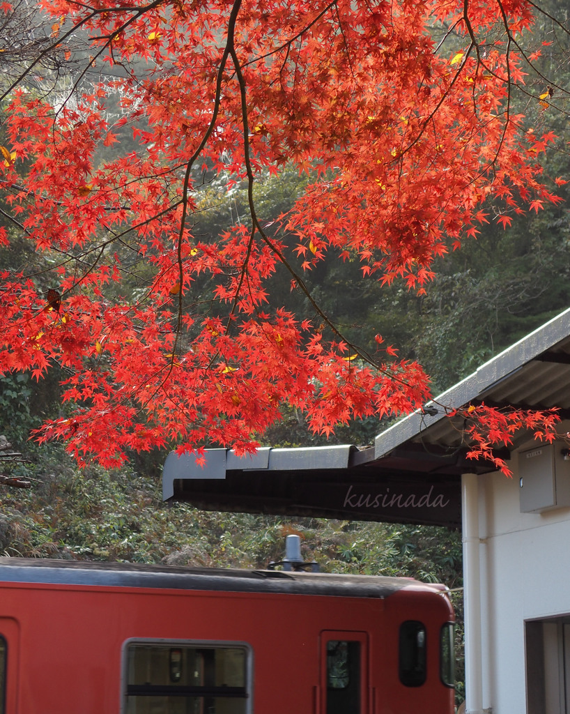 紅葉乃駅