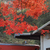 紅葉乃駅