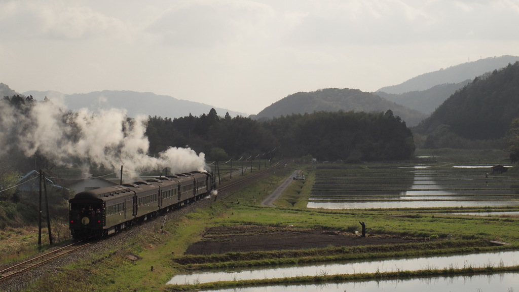 春の田園を行く