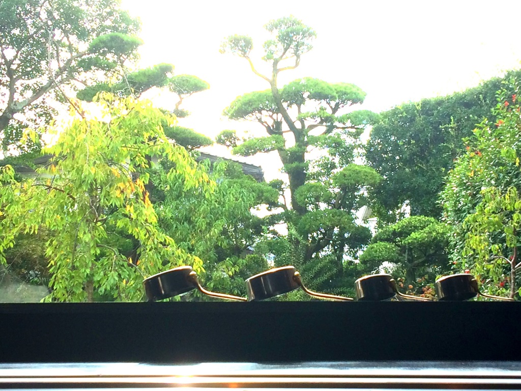 ひとときの休息
