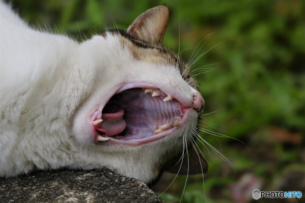 AHhhhh･･･！