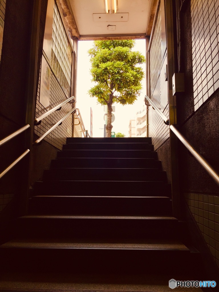 デグチ